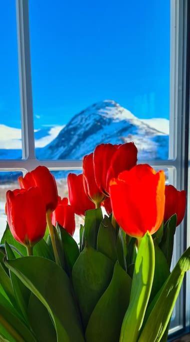Holiday Home Among The Pearls Of Norway Странда Екстериор снимка
